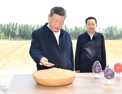 向佐火到韩国