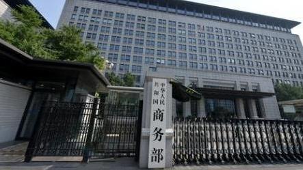 刘若英演唱会嘉宾是阿信