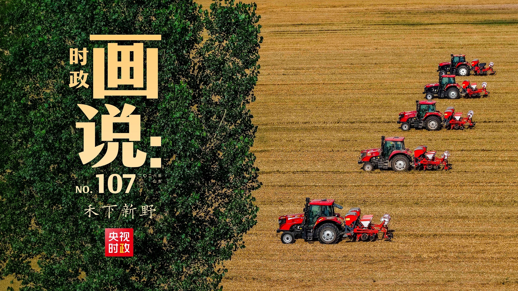 徐艺真上综艺