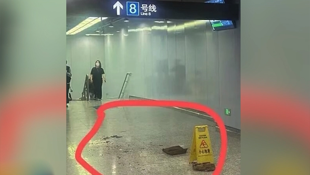 总女友颜值