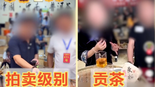 台湾青年学者：AI时代，两岸科技合作潜力无限、势不可挡