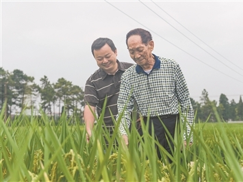 乌克兰获欧盟39亿欧元贷款用于国防