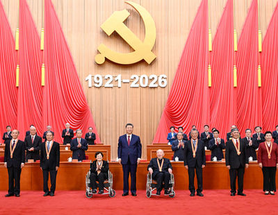 文章模仿向佐动作
