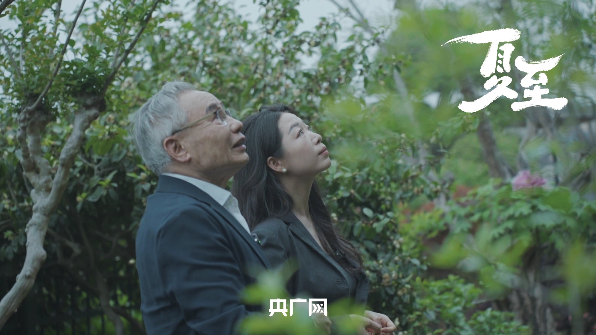 东北雨姐为何注册多家公司