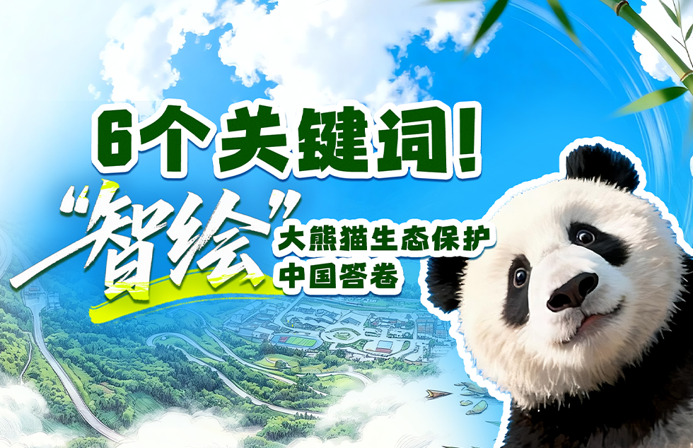 解放军次围岛行动示意图对比