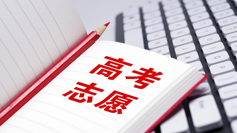 免费在线观看
