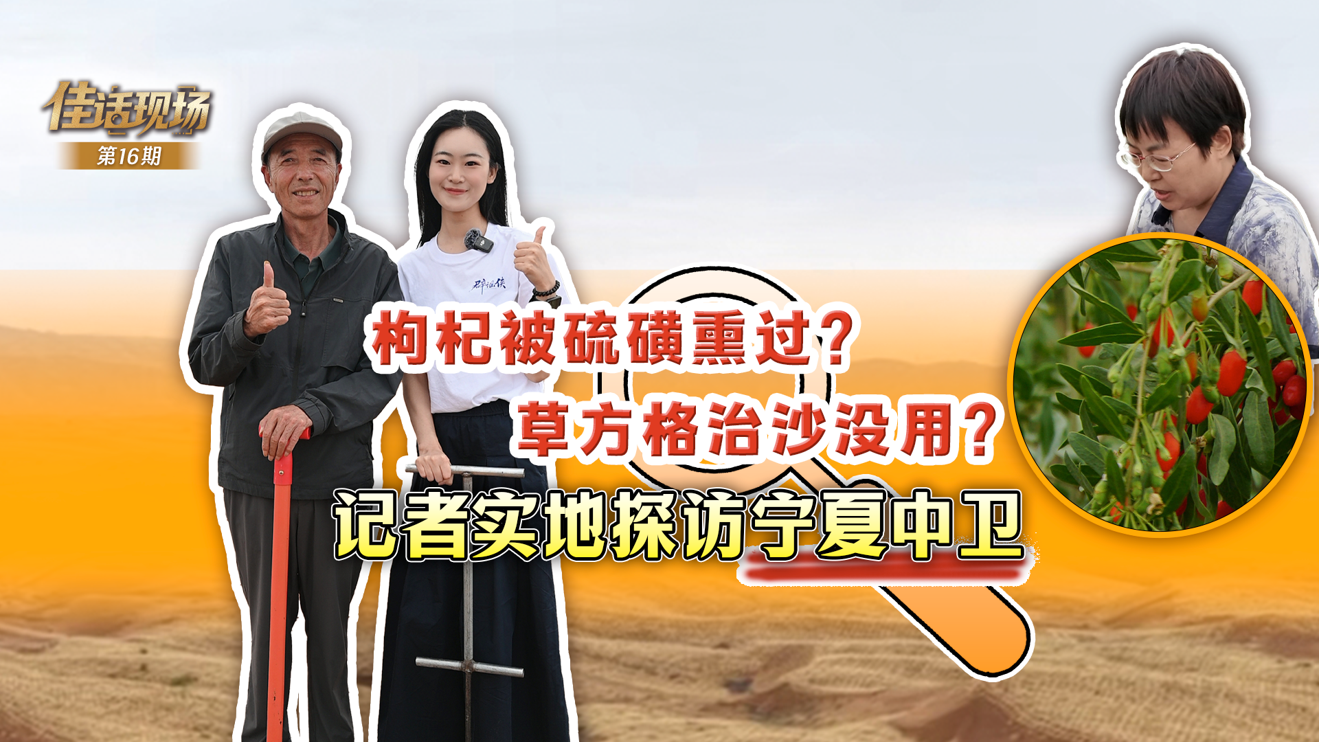 回归